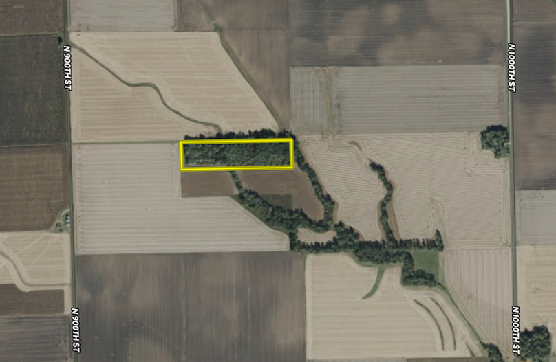 Screenshot 2026-02-13 at 10.02.55 PM