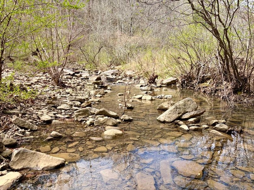 AA5E6726-CBEE-46CD-BFCB-13A100EA13BF_1_201_a