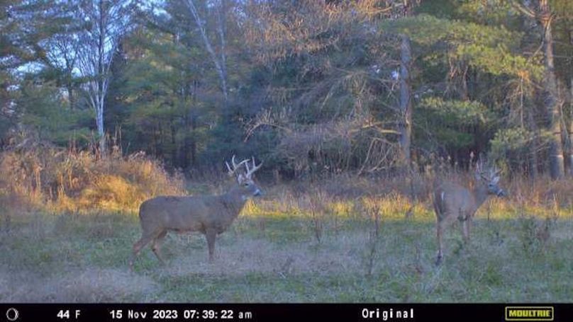 Temp_709138-20231202142619-15_11_2023_133922_455