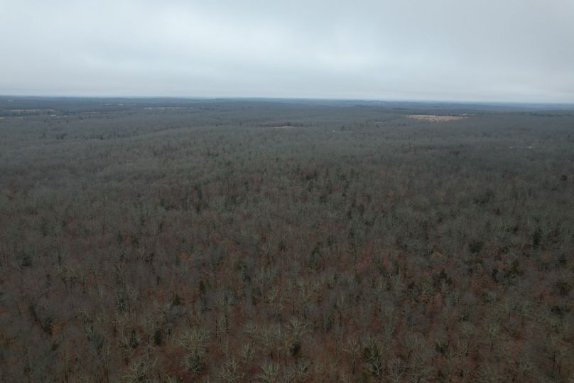 DJI_0482