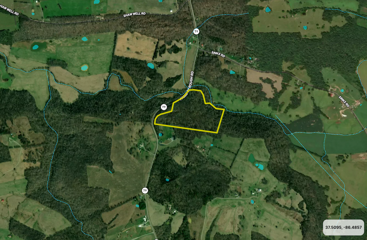 Screen Shot 2024-03-07 at 10.40.36 AM