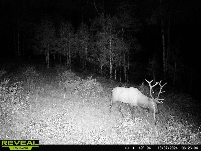 864049052055672-10-4-10072024062604-HD-W1001356 (1)