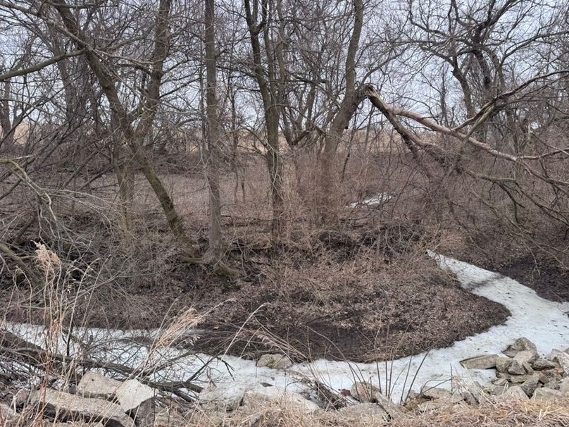 71088DE9-34B3-4855-86FD-7D9F250C62E6_1_105_c