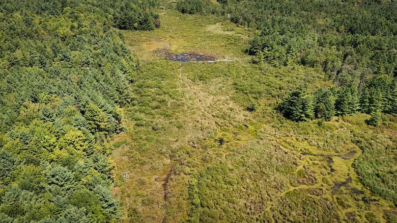 Jefferson NY 195.6 Parker Photos 29