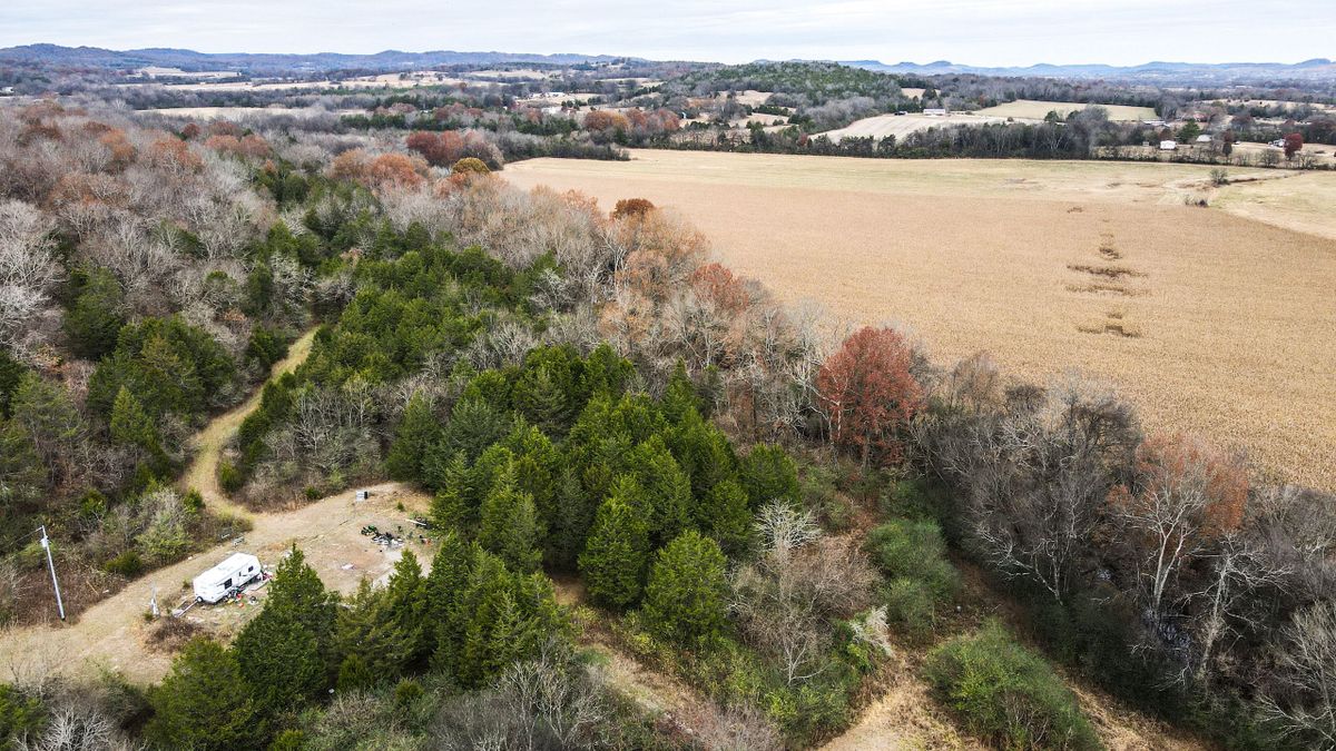 Buildable Acreage With Creek And Pasture Near Fayetteville Whitetail