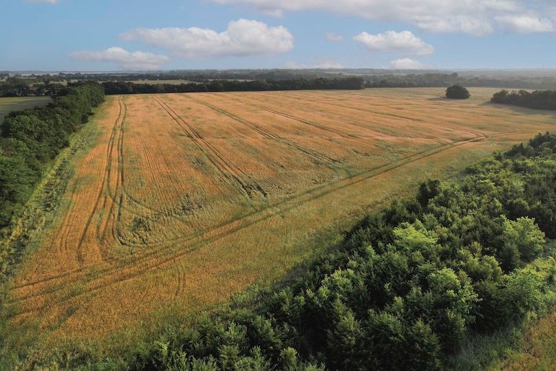 Lamar County- 92.66 Acres (18 of 29)