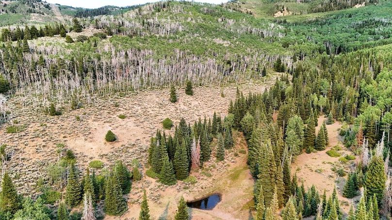 DJI_20250726173635_0130_D