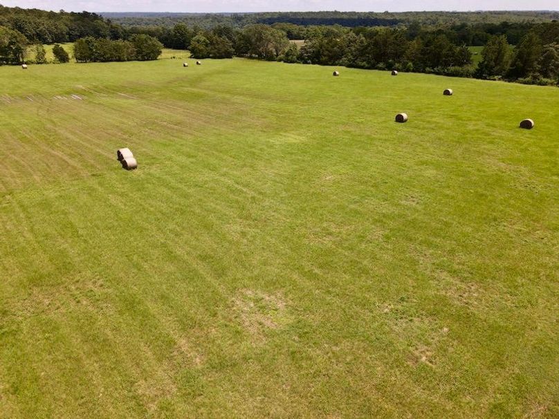 DJI_0032