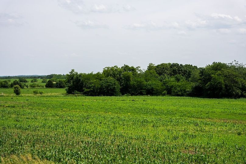 CCC05078