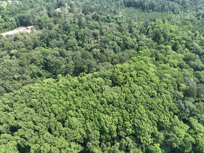 dji_fly_20230530_111610_144_1685483313618_photo