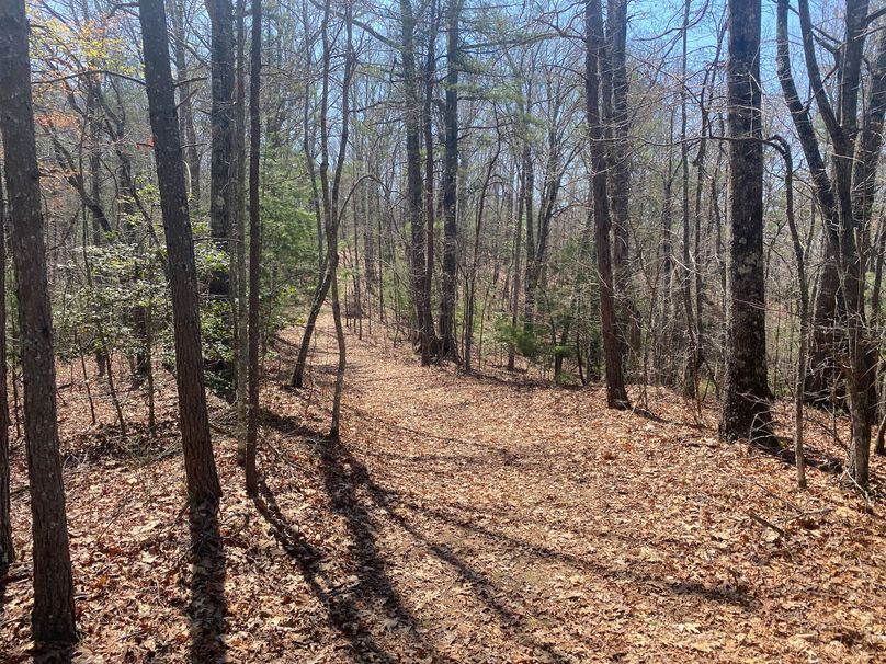 Cherokee 69.74 Stiles-22