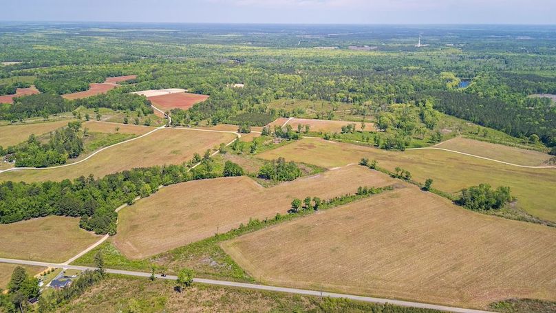 Capitola Plantation Farm tracts-2