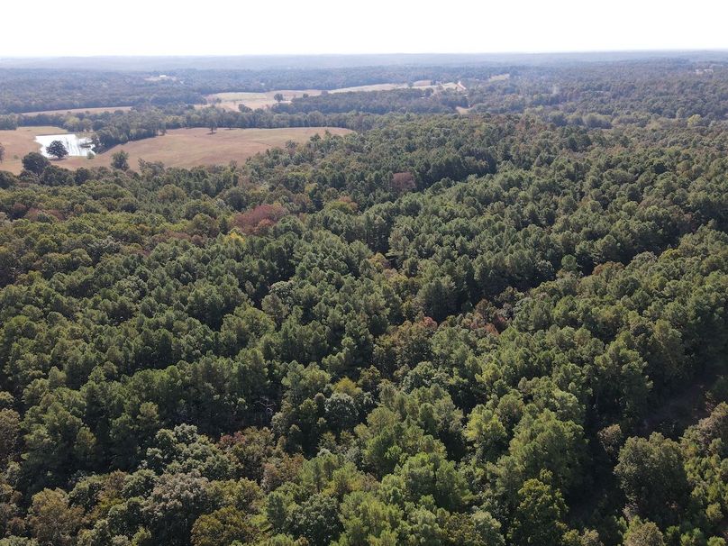 dji_fly_20250902_095502_727_1756824999849_photo