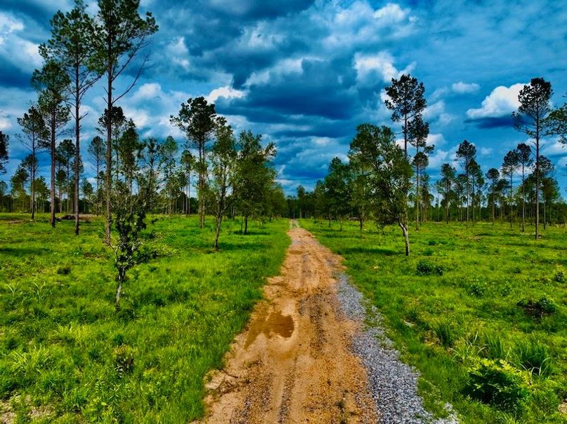 B0BC1593-E8E6-4FA2-A0D5-BD2987C022F0_1_105_c