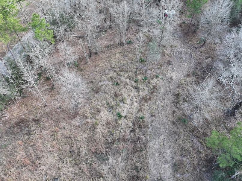 dji_fly_20260212_135940_0042_1771284249201_photo