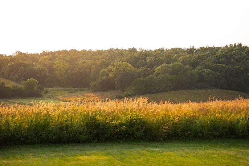 Cedar IA 152 Featured Z25