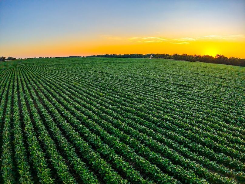 DJI_20250816065410_0706_D