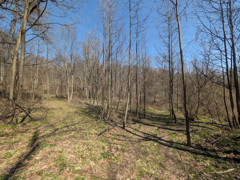 PXL_20260326_164820985