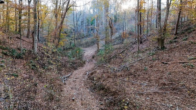 DJI_20251111155239_0063_D