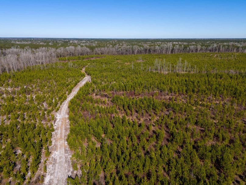 Pender NC 382 - Edits-19