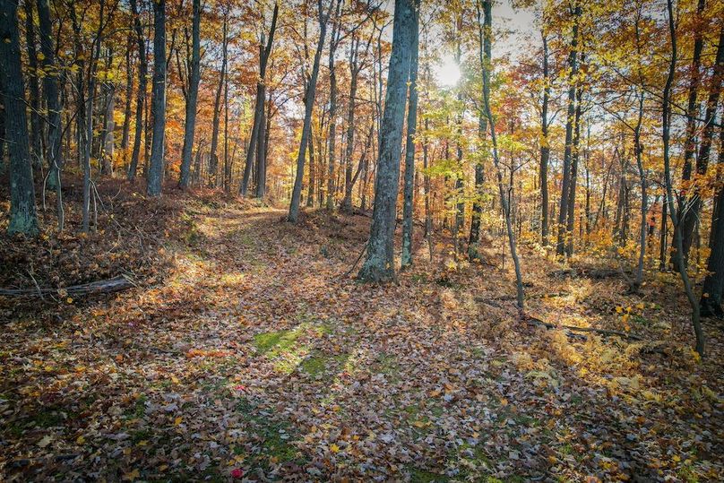 Ontario_606.7_Farm East _Photos_15