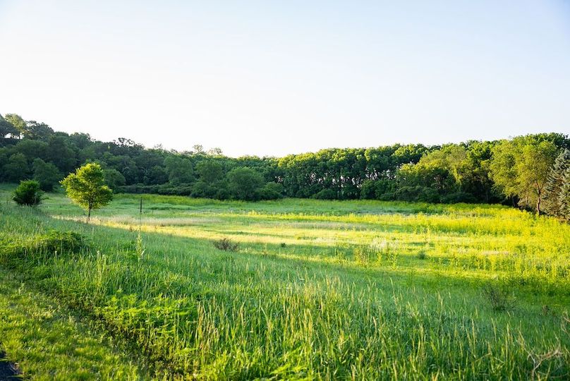 Fillmore 48.25 New Updates-38