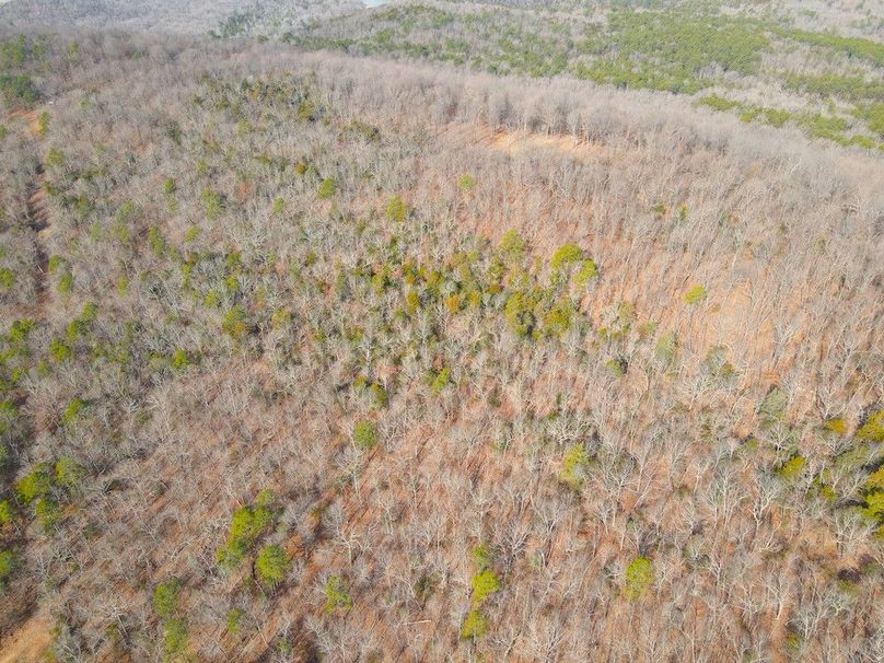 DJI_0648