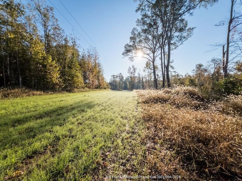 Claiborne Co-151-Geronimo-31