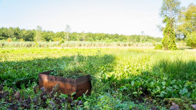 MadisonParLa1372-130