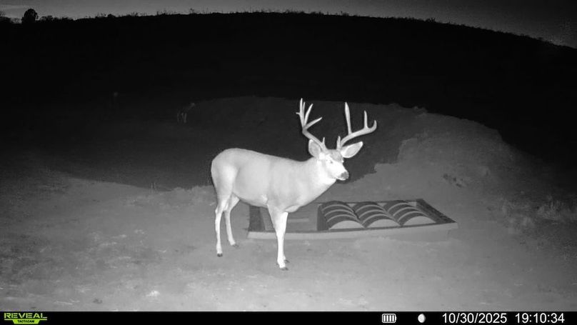 016578004267347-100-3-10302025191034-V-SYFW00039