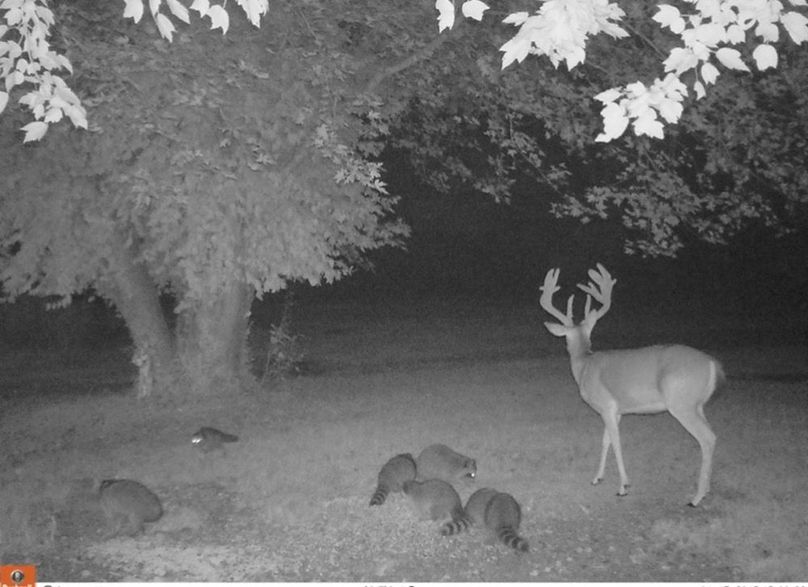 5CFFBEC6-03C7-489F-9BE4-627FCFEAE7E2