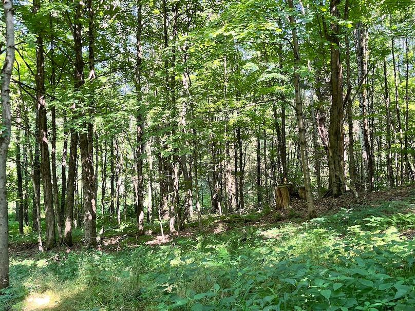 Oswego_24_Frank Photo 28