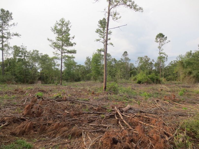 70F49853-5B1B-46E2-B305-CF5CF3265298_1_105_c