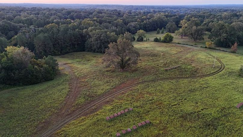 Hinds Co - 78 - Newman-08