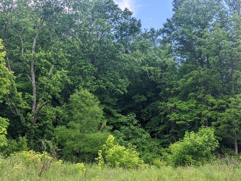 PXL_20230530_213448409