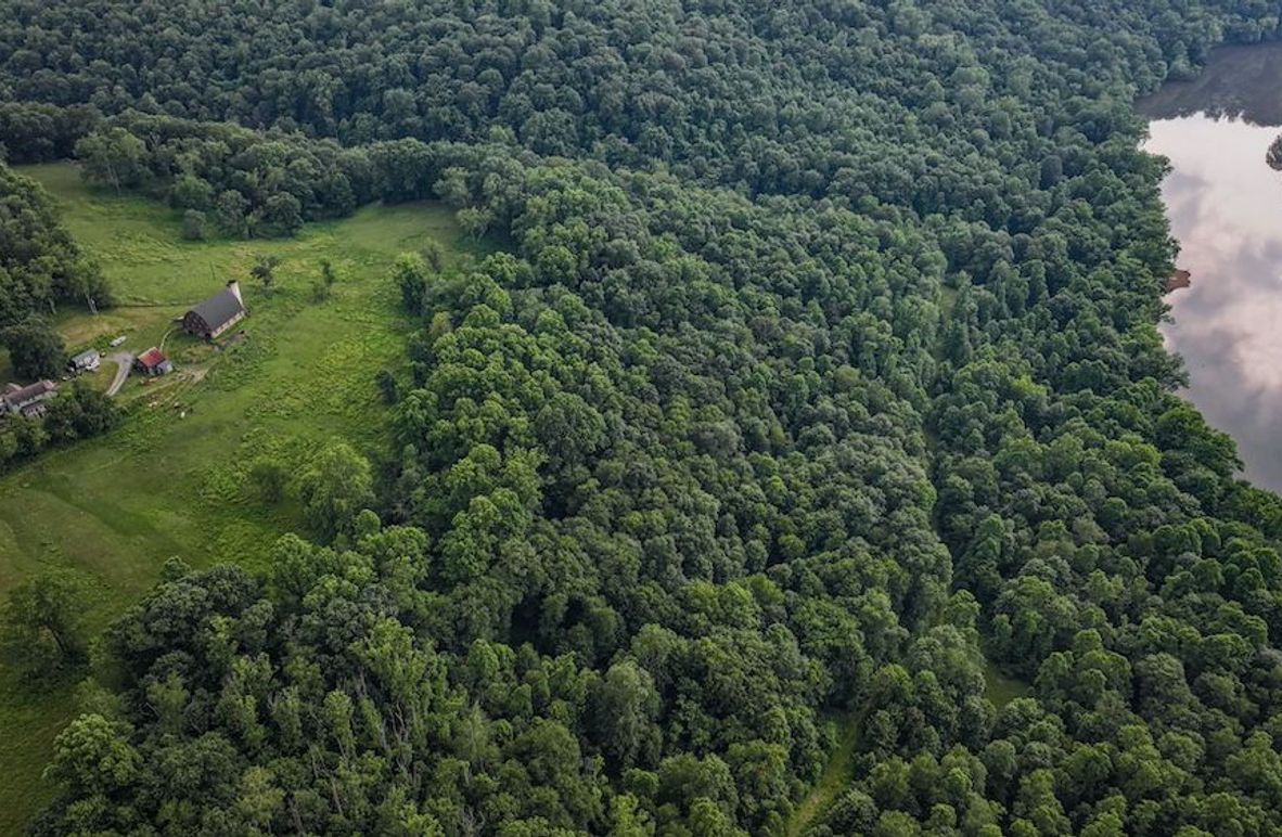 Fayette, 14.14, Kokot-01