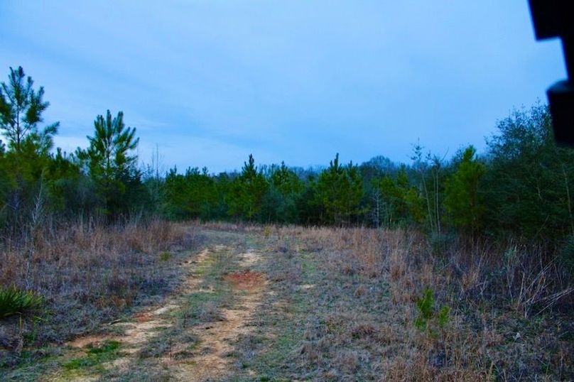 69AC4C85-EE31-4A24-9208-B0B6EEC844DB_1_105_c