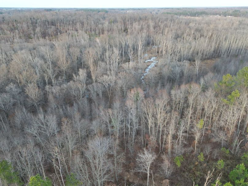 dji_fly_20231130_052148_255_1701905206744_photo