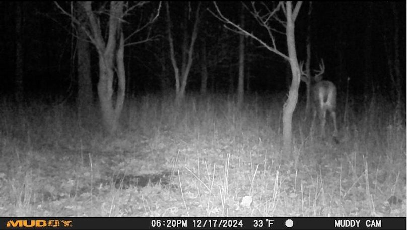 Image 12-28-24 at 6.18 PM 2