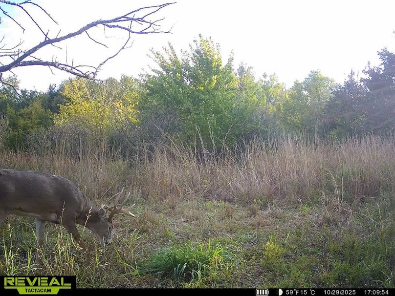 860322065515287-100-3-10312025042904-HD-SYEW9875