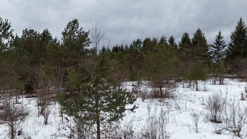 7 DJI_20260115005013_0005_D