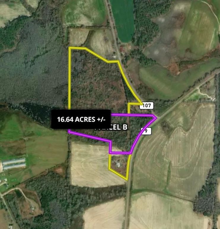 Closing Jpg Pic - 16.64 Acres Geneva, AL.
