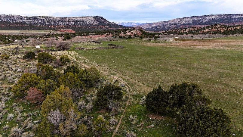 DJI_20250412074543_0032_D