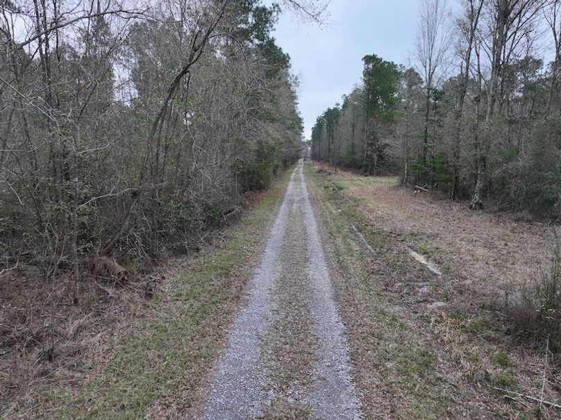 dji_fly_20260123_113252_0918_1769444786036_photo