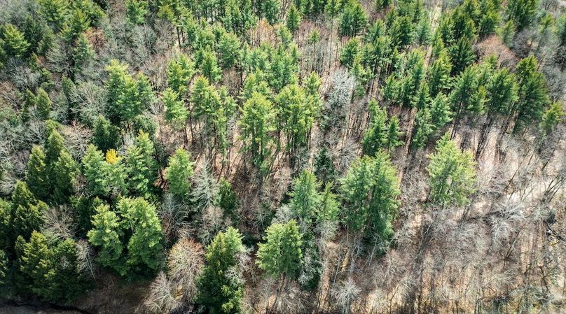 Tioga__NY_109.7_Burris_Photos_12