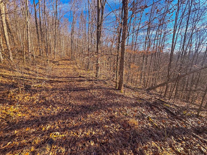 Lewis, WV 82.87 AC Barger-24