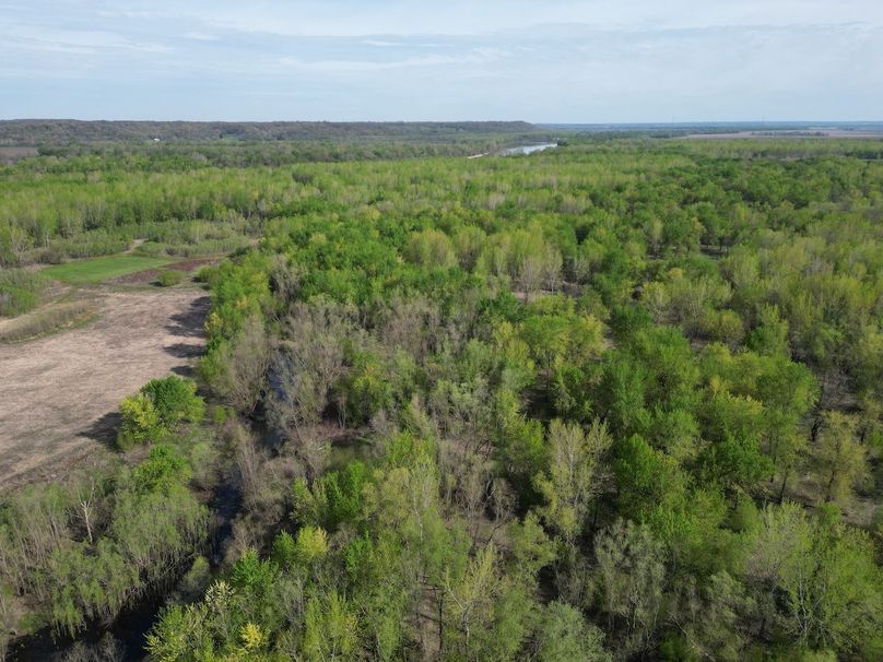 DJI_0266