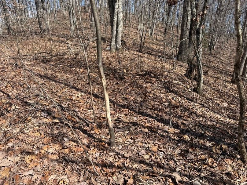 009 seem to be plenty of these around