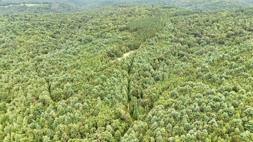 DJI_20250820164048_0067_D