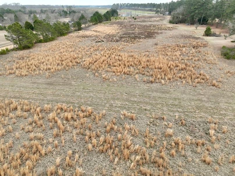 dji_fly_20260210_114220_266_1770741961540_photo